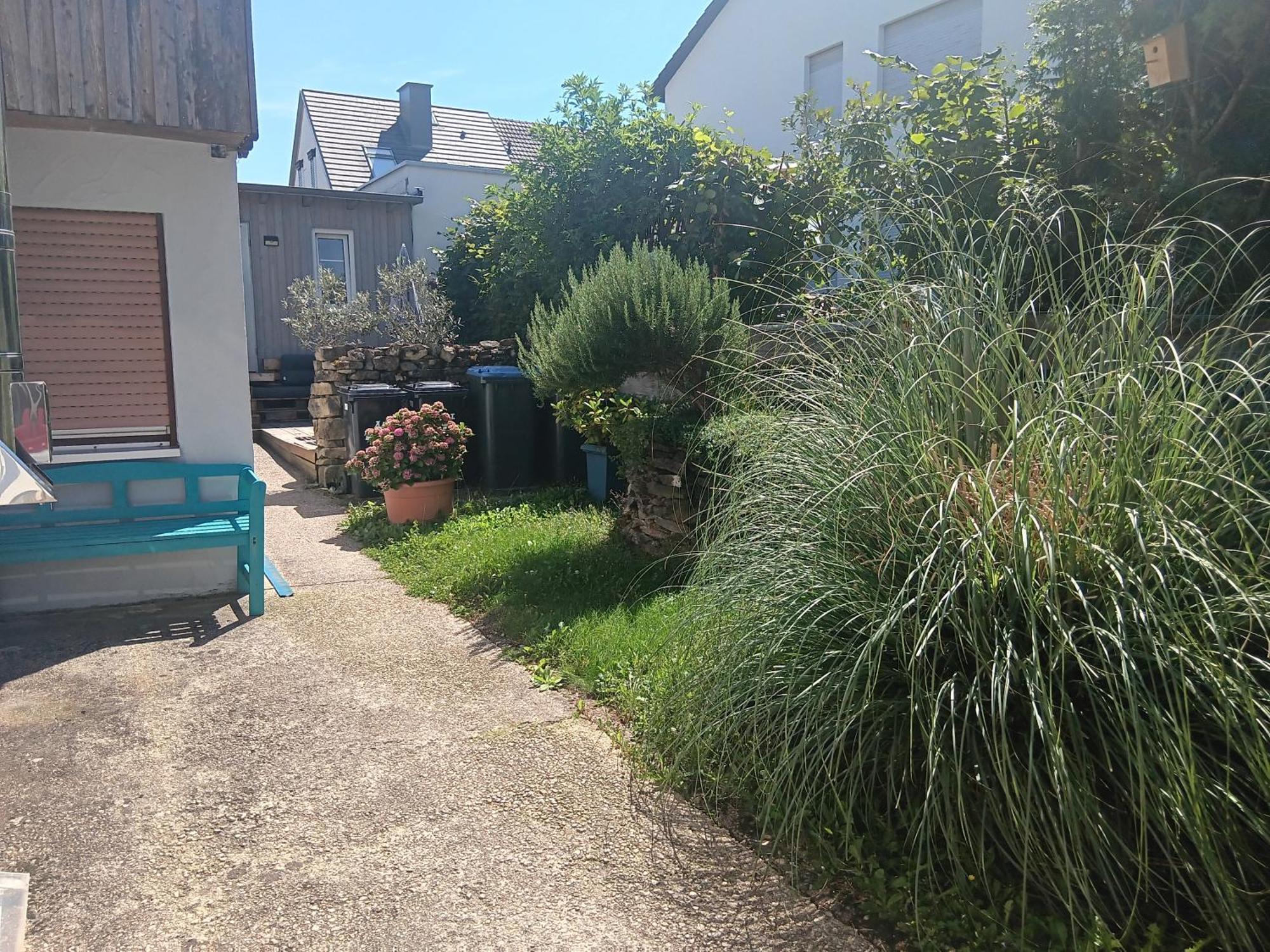 Ferienwohnung Mattheiser Weiher Treviri Esterno foto